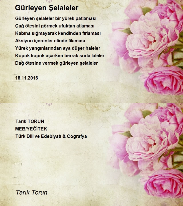 Tarık Torun