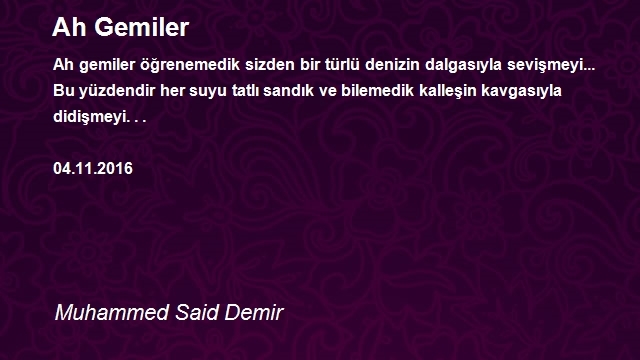 Muhammed Said Demir