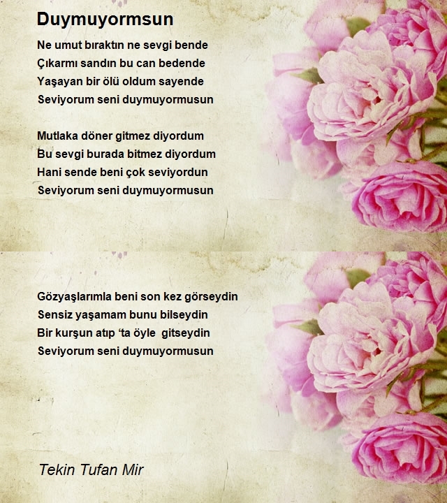 Tekin Tufan Mir