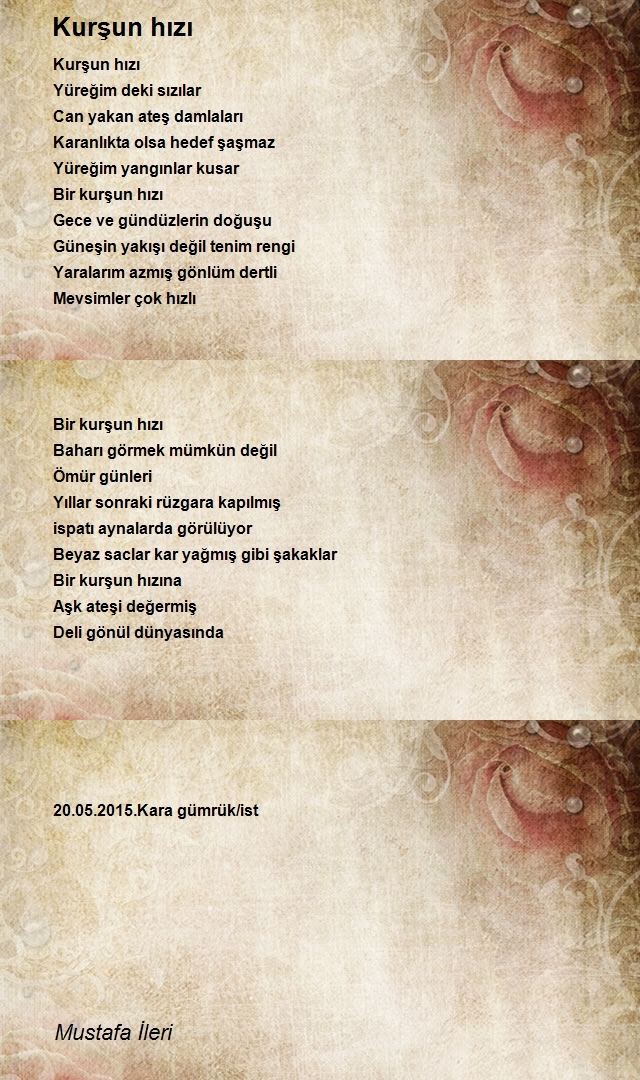 Mustafa İleri