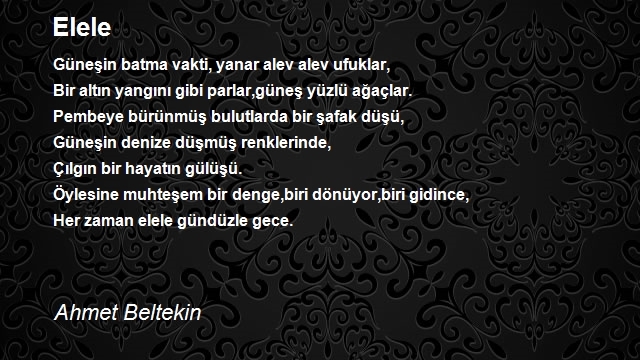 Ahmet Beltekin