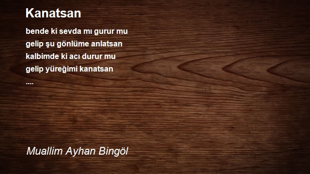 Muallim Ayhan Bingöl