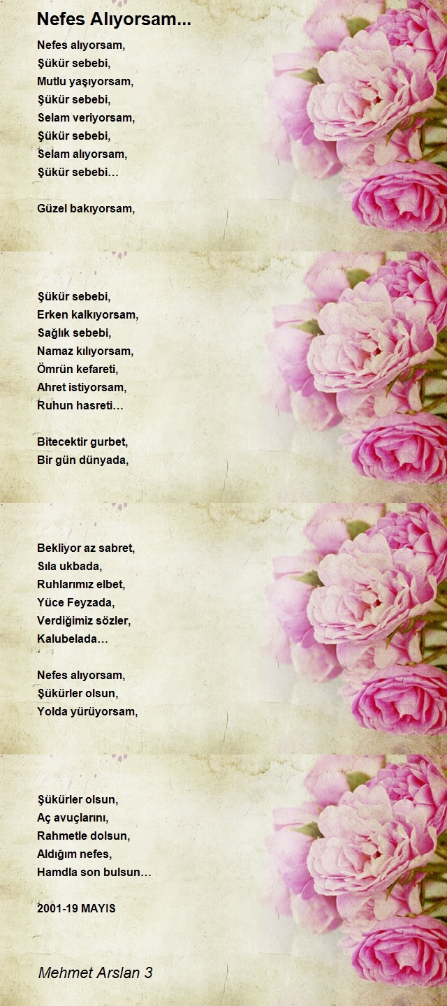 Mehmet Arslan 3