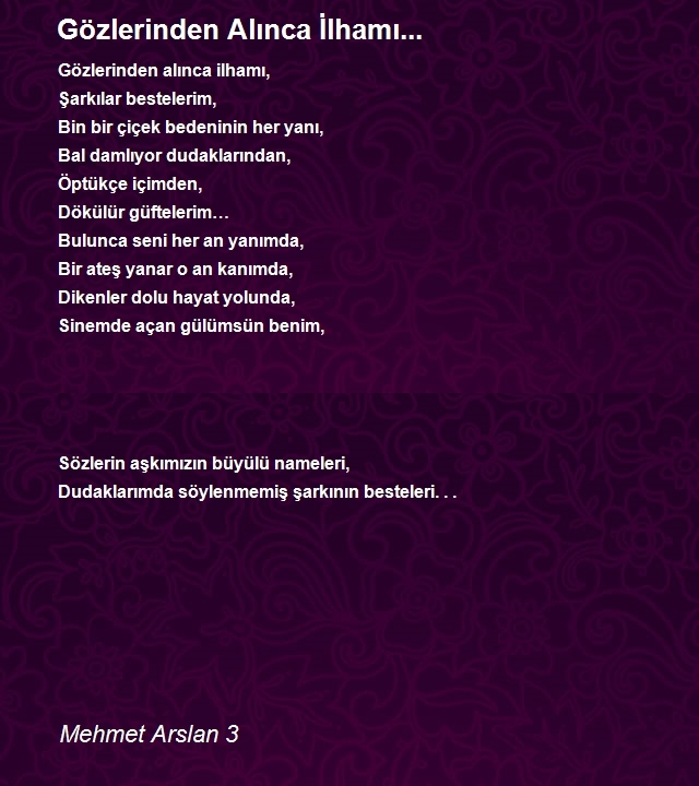 Mehmet Arslan 3