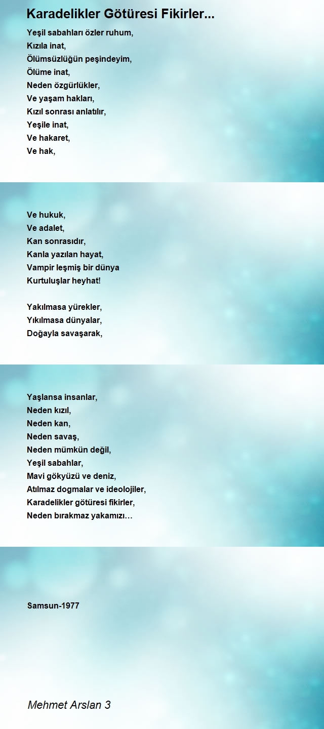 Mehmet Arslan 3