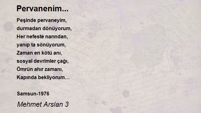 Mehmet Arslan 3