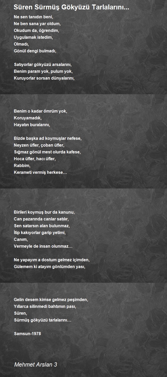 Mehmet Arslan 3