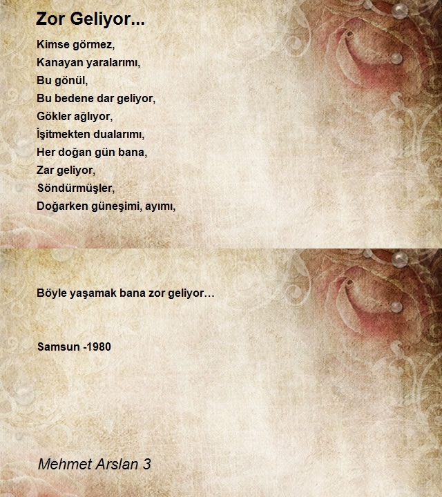 Mehmet Arslan 3