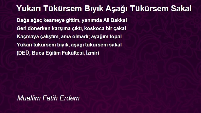 Muallim Fatih Erdem