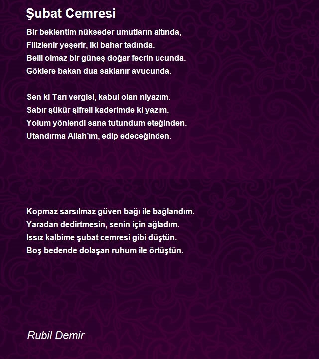 Rubil Demir