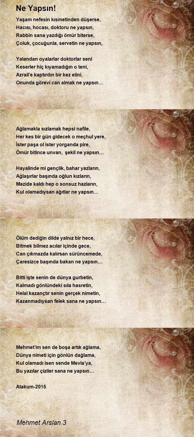 Mehmet Arslan 3