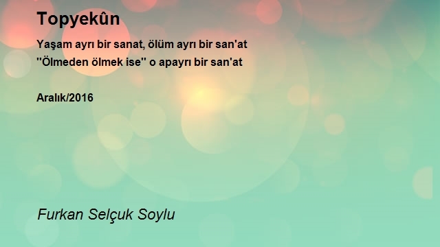 Furkan Selçuk Soylu