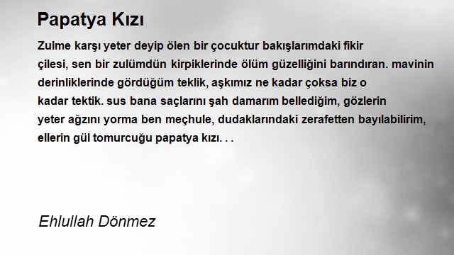 Ehlullah Dönmez