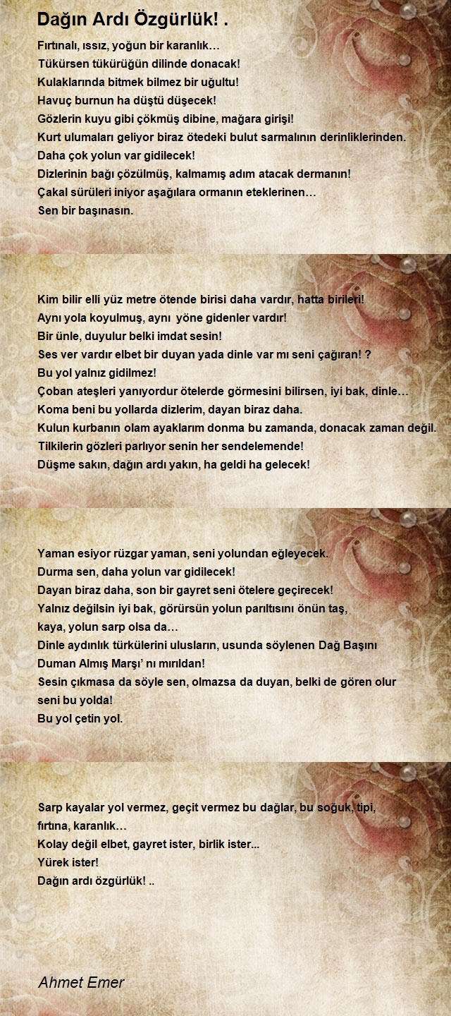 Ahmet Emer