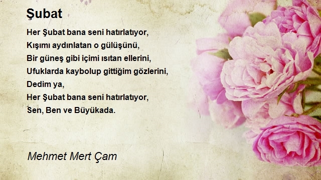 Mehmet Mert Çam