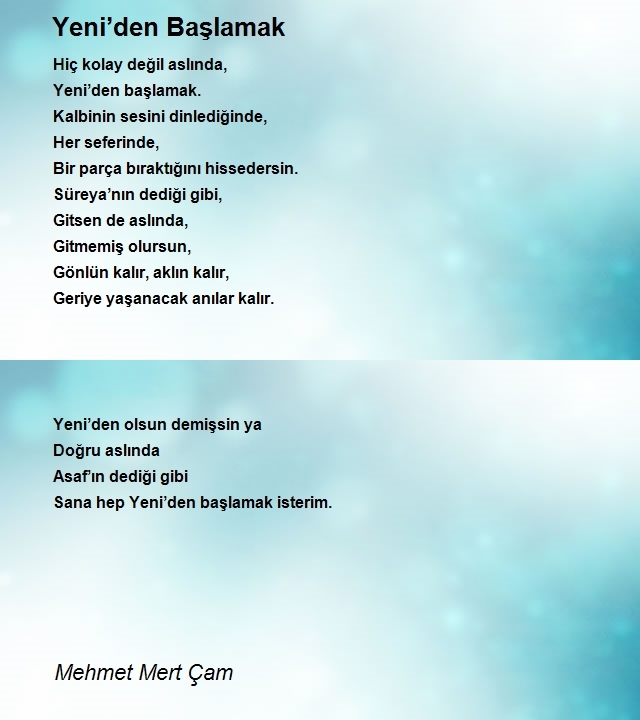 Mehmet Mert Çam