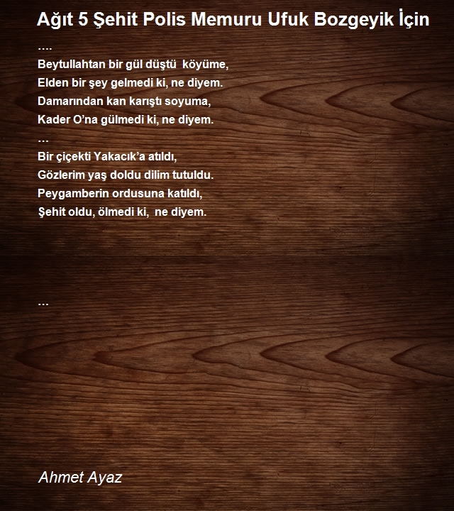 Ahmet Ayaz