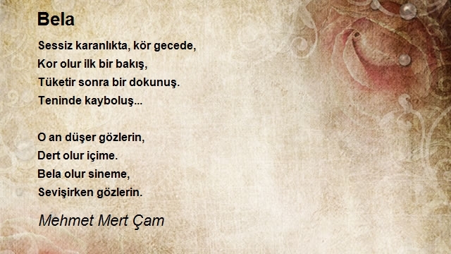 Mehmet Mert Çam