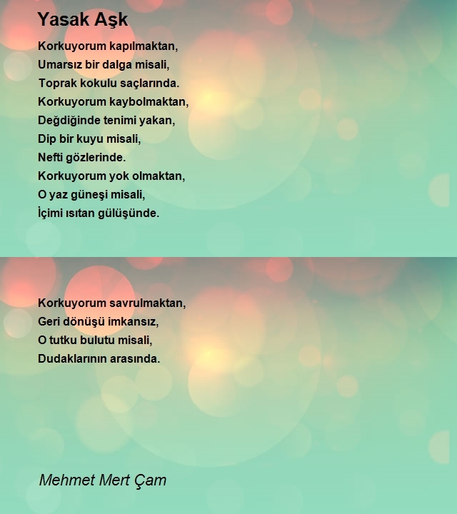 Mehmet Mert Çam