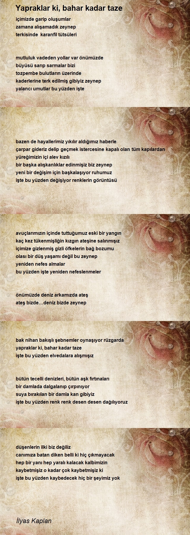 İlyas Kaplan