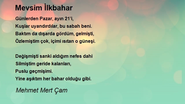 Mehmet Mert Çam