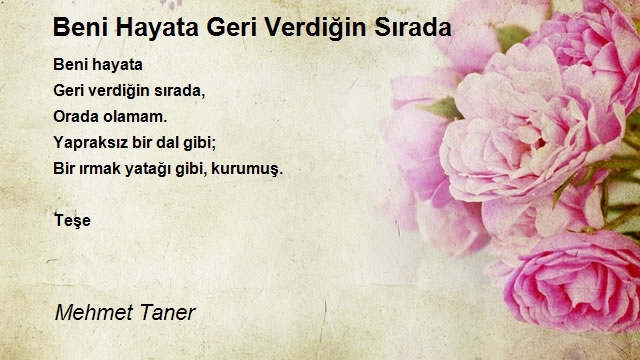 Mehmet Taner