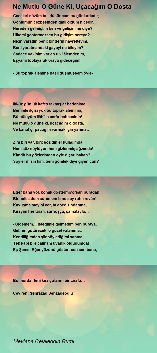 Mevlana Celaleddin Rumi