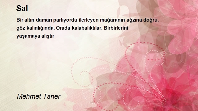 Mehmet Taner