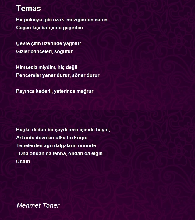 Mehmet Taner