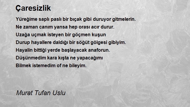 Murat Tufan Uslu