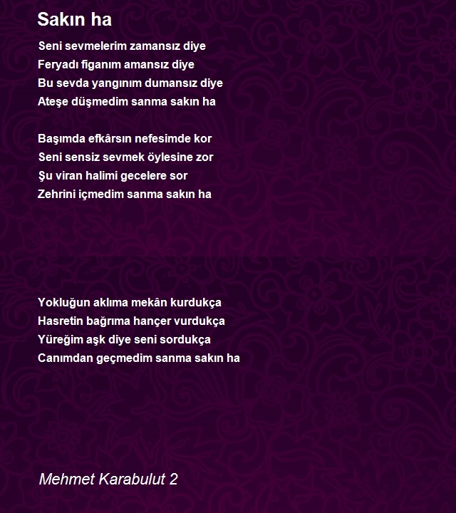 Mehmet Karabulut 2