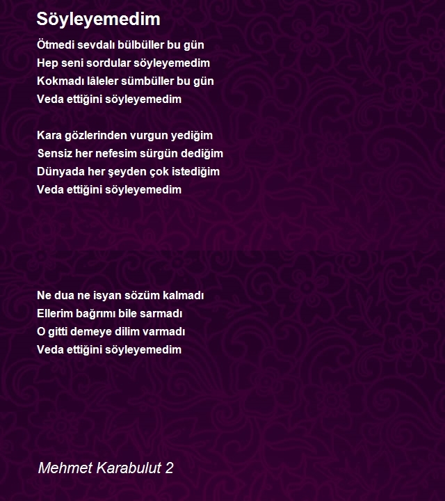 Mehmet Karabulut 2