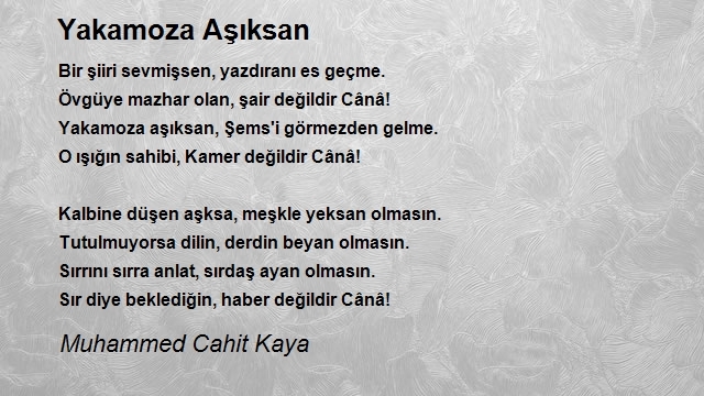 Muhammed Cahit Kaya