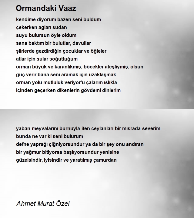 Ahmet Murat Özel