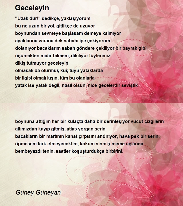 Güney Güneyan