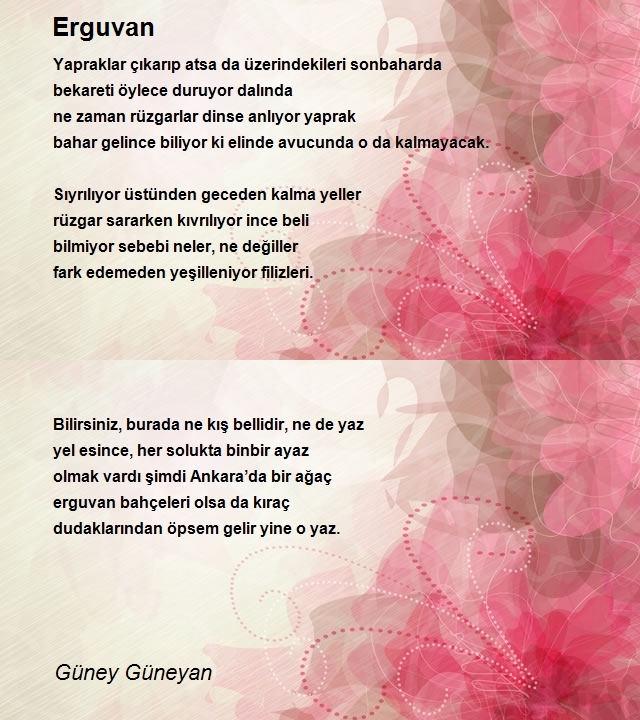 Güney Güneyan