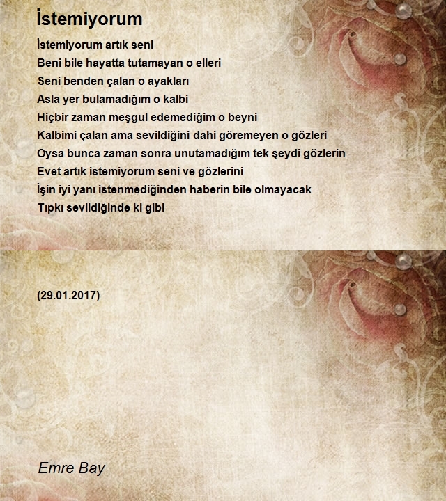 Emre Bay