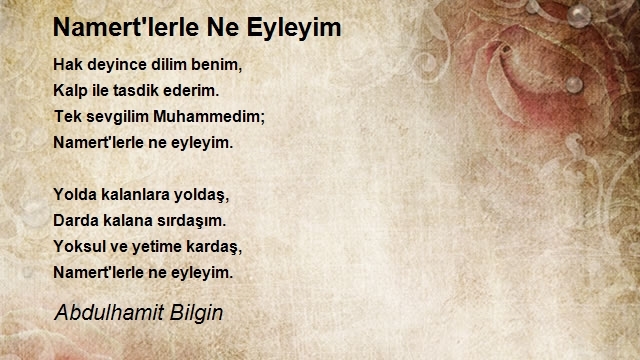 Abdulhamit Bilgin