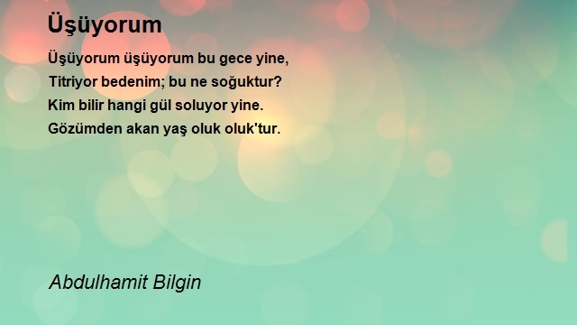 Abdulhamit Bilgin