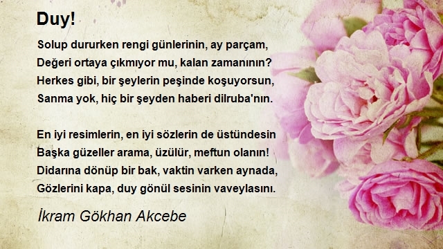 İkram Gökhan Akcebe