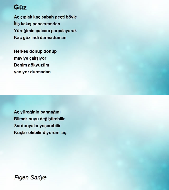 Figen Sariye