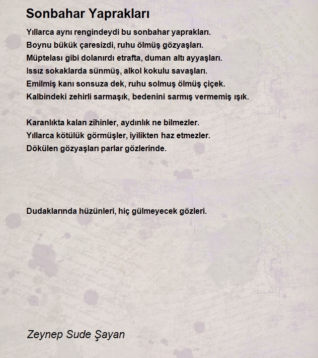 Zeynep Sude Şayan