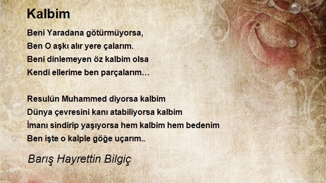 Barış Hayrettin Bilgiç