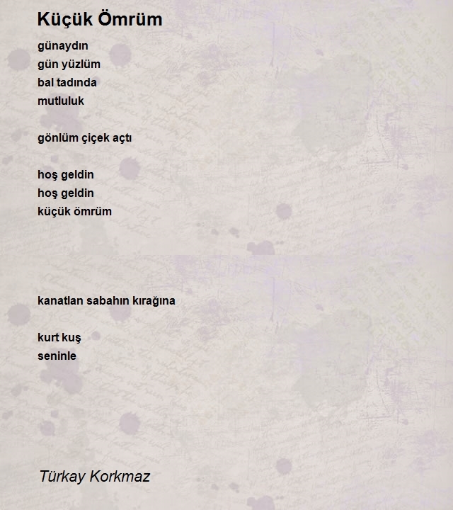 Türkay Korkmaz