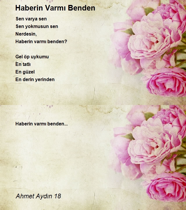 Ahmet Aydın 18