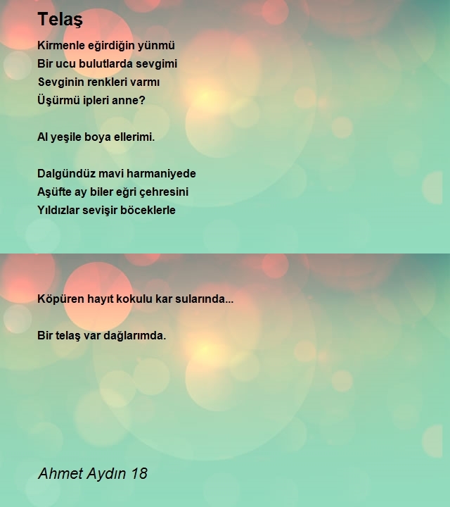 Ahmet Aydın 18