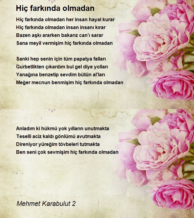 Mehmet Karabulut 2