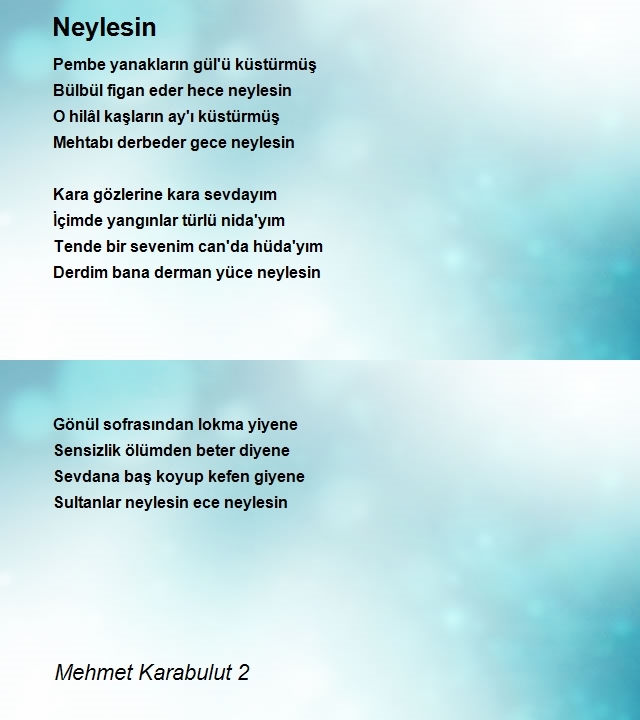 Mehmet Karabulut 2