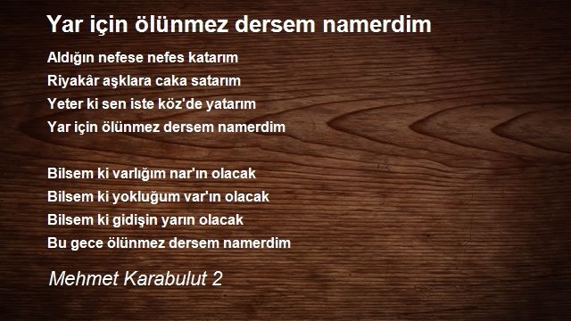 Mehmet Karabulut 2