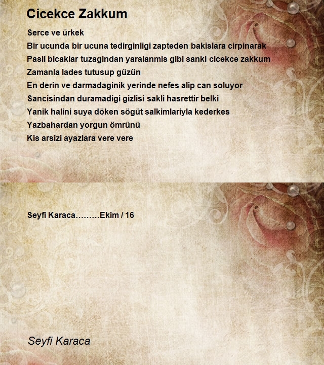 Seyfi Karaca